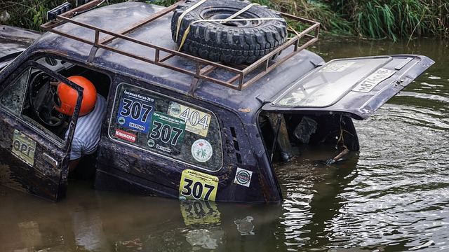 年轻的球员 年轻的球员