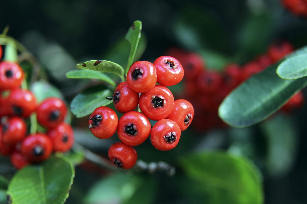 更是一名能 更是一名能