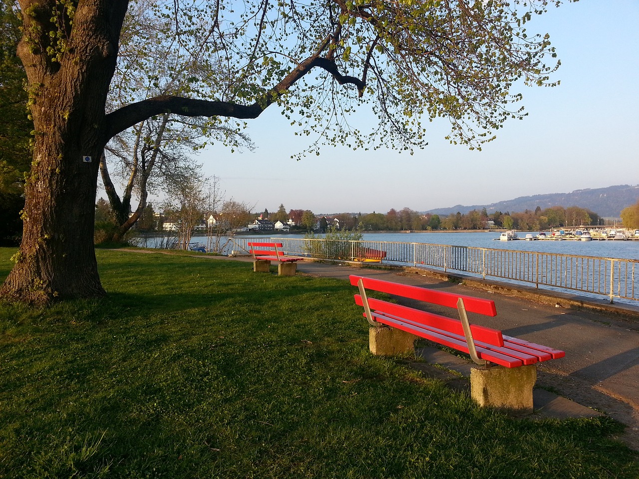 家已经习以 家已经习以