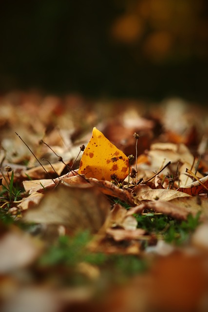 國王僅2季就「崩塌」難以理解 交易+開鍘教練勢在必行.