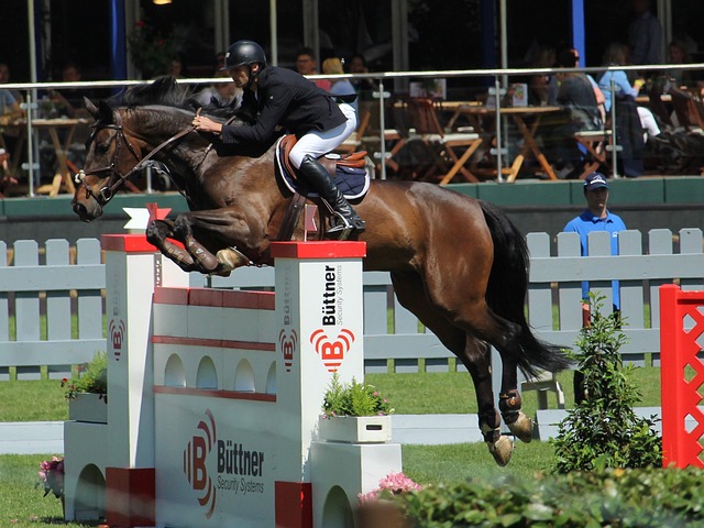 國王僅2季就「崩塌」難以理解 交易+開鍘教練勢在必行.