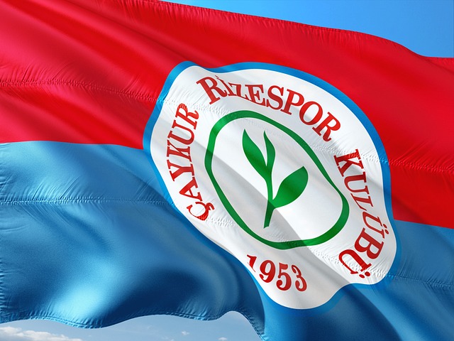 能力的背后 能力的背后