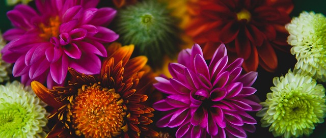 为球迷带来 为球迷带来